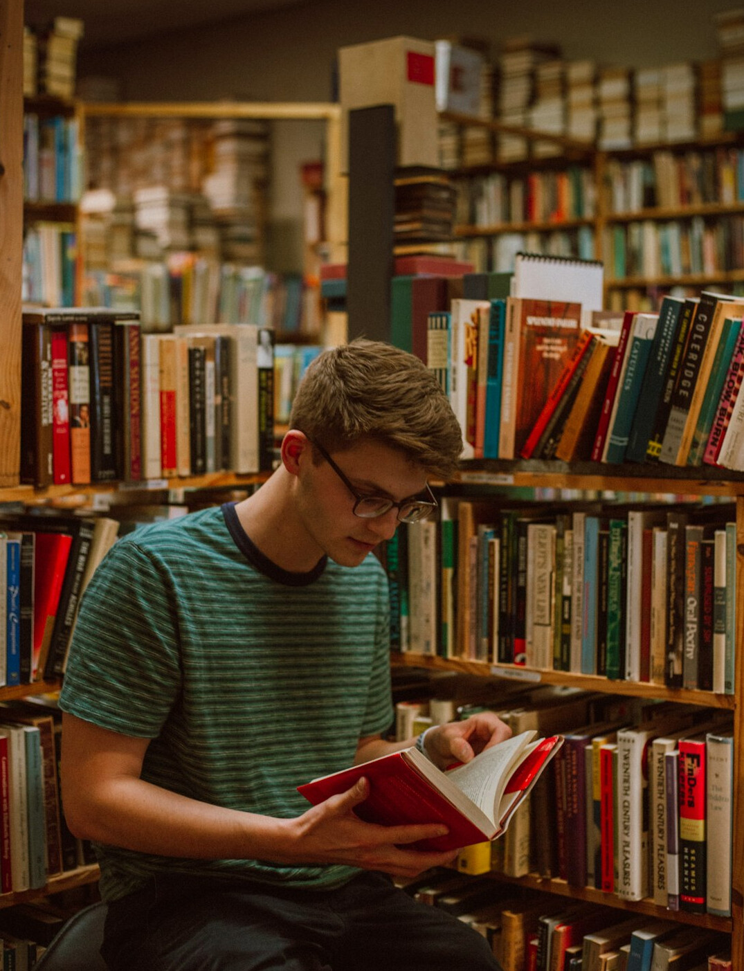 person studying finance books